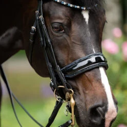 Stang En Trens HB Showtime Special For You Black-blue 8 Stang En Trens HB Showtime Special For You Black-blue -Paardenbenodigdheden Winkel stang en trens hb showtime special for you black blue 1500x1500 181570