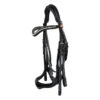 Stang En Trens Kieffer Ultrasoft Amy Zwart -Paardenbenodigdheden Winkel stang en trens kieffer ultrasoft amy zwart 1500x1500 146673