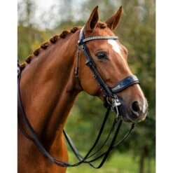 Stang En Trens PresTeq FayPerform Shine Zwart -Paardenbenodigdheden Winkel stang en trens presteq fayperform shine zwart 1500x1500 182517