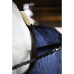 Stapmolendeken Kentucky 160gr Donkerblauw 14 Stapmolendeken Kentucky 160gr Donkerblauw -Paardenbenodigdheden Winkel stapmolendeken kentucky 160gr donkerblauw 1500x1500 139838