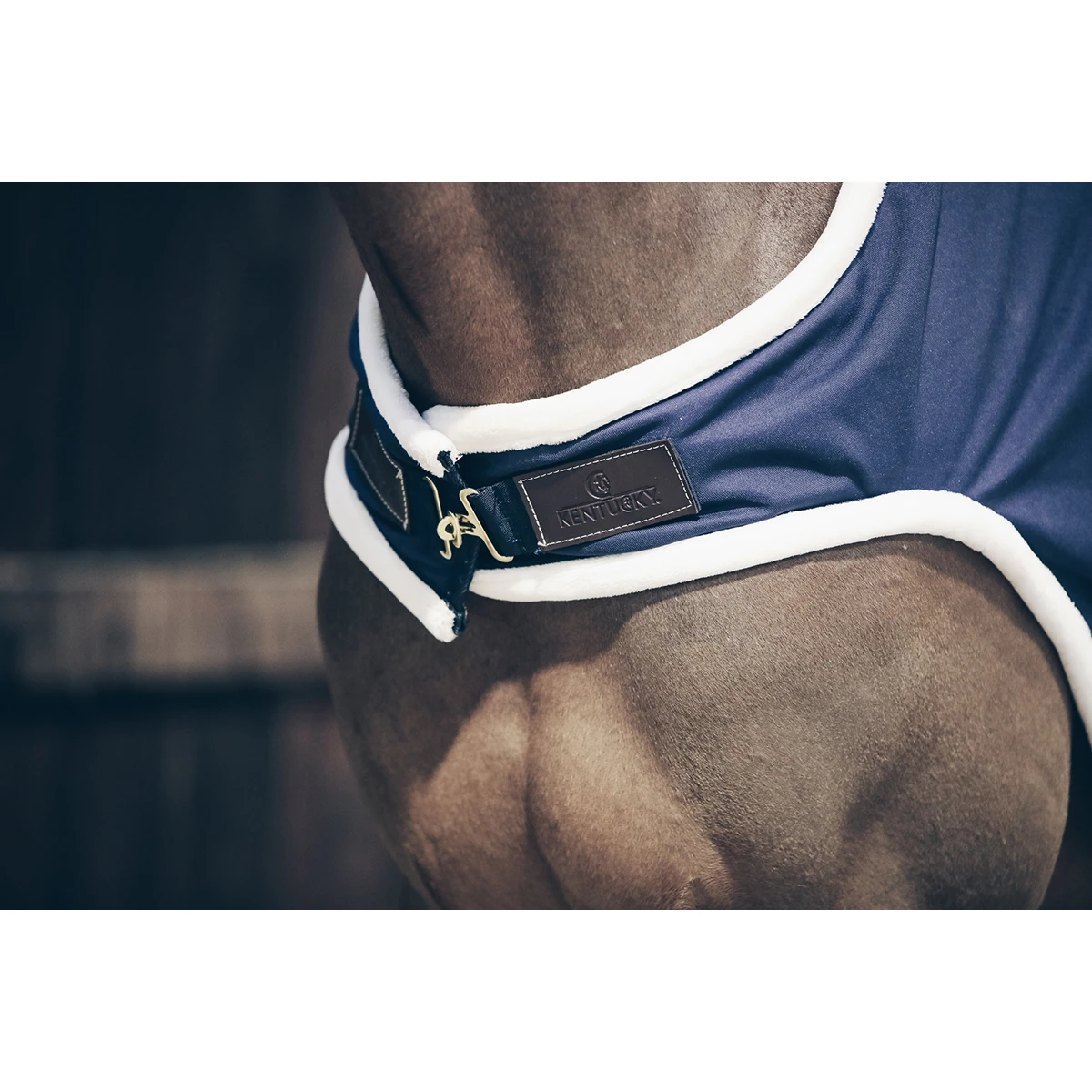 Stapmolendeken Kentucky 160gr Waterdicht Donkerblauw 5 Stapmolendeken Kentucky 160gr Waterdicht Donkerblauw - Afbeelding 3