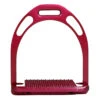 Stijgbeugels Epplejeck Color Aluminium Deluxe Roze 2 Stijgbeugels Epplejeck Color Aluminium Deluxe Roze -Paardenbenodigdheden Winkel stijgbeugels epplejeck color aluminium deluxe roze 1500x1500 100483