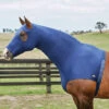 Stretch Hood WeatherBeeta With Zip Donkerblauw -Paardenbenodigdheden Winkel stretch hood weatherbeeta with zip donkerblauw 1500x1500 135314