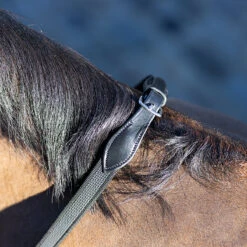 Teugels LeMieux Rubber Grip Continental Zwart -Paardenbenodigdheden Winkel teugels lemieux rubber grip continental zwart 1500x1500 185382