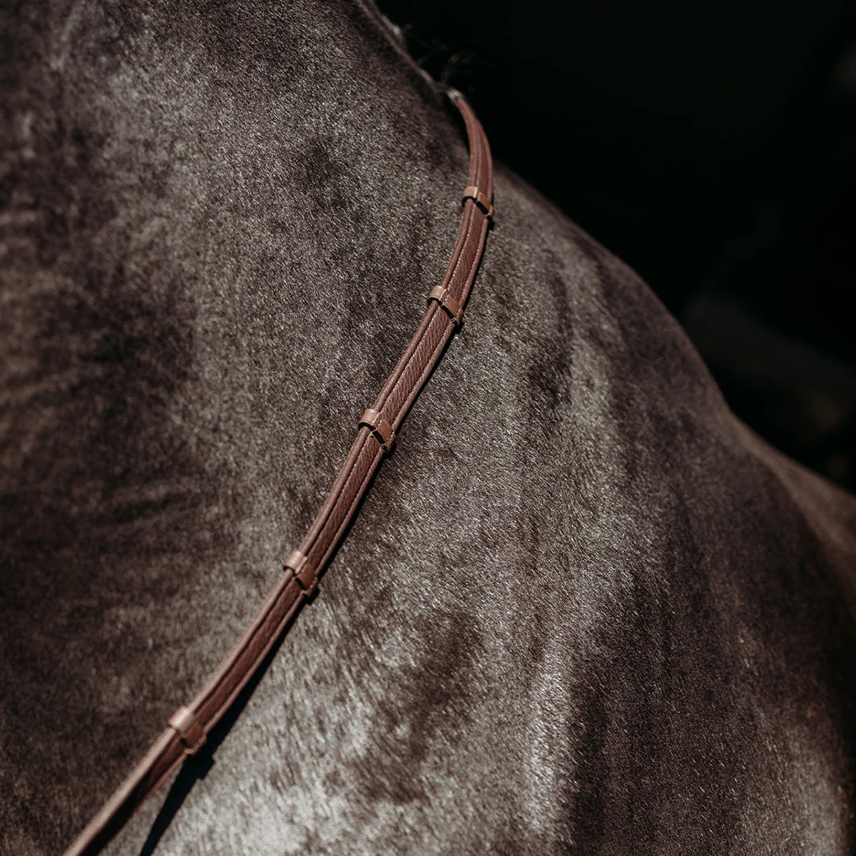 Teugels PresTeq FaySport Bruin 4 Teugels PresTeq FaySport Bruin - Afbeelding 2