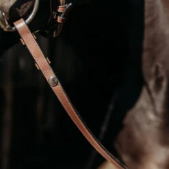 Teugels PresTeq FaySport Bruin 7 Teugels PresTeq FaySport Bruin -Paardenbenodigdheden Winkel teugels presteq faysport bruin 1500x1500 167050