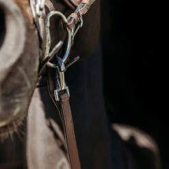 Teugels PresTeq FaySport Met Clips Bruin -Paardenbenodigdheden Winkel teugels presteq faysport met clips bruin 1500x1500 167010