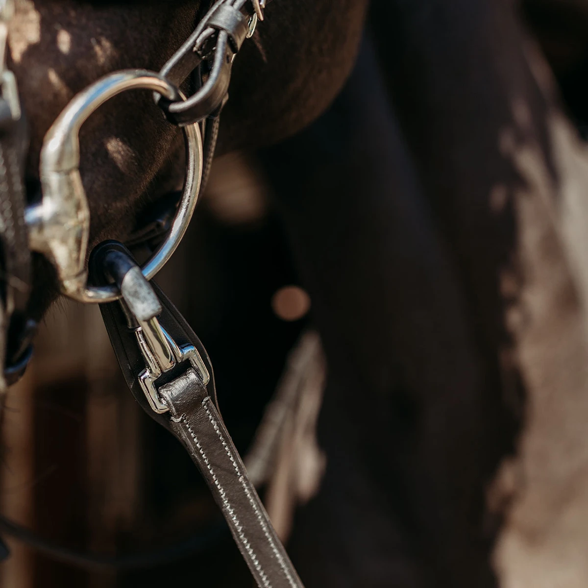 Teugels PresTeq FaySport Met Clips&Stops Zwart 4 Teugels PresTeq FaySport Met Clips&Stops Zwart - Afbeelding 2