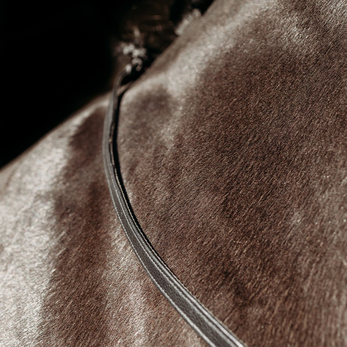 Teugels PresTeq FaySport Met Clips Zwart 4 Teugels PresTeq FaySport Met Clips Zwart - Afbeelding 2