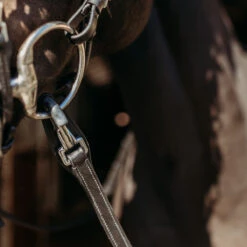 Teugels PresTeq FaySport Met Clips Zwart 7 Teugels PresTeq FaySport Met Clips Zwart -Paardenbenodigdheden Winkel teugels presteq faysport met clips zwart 1500x1500 167007