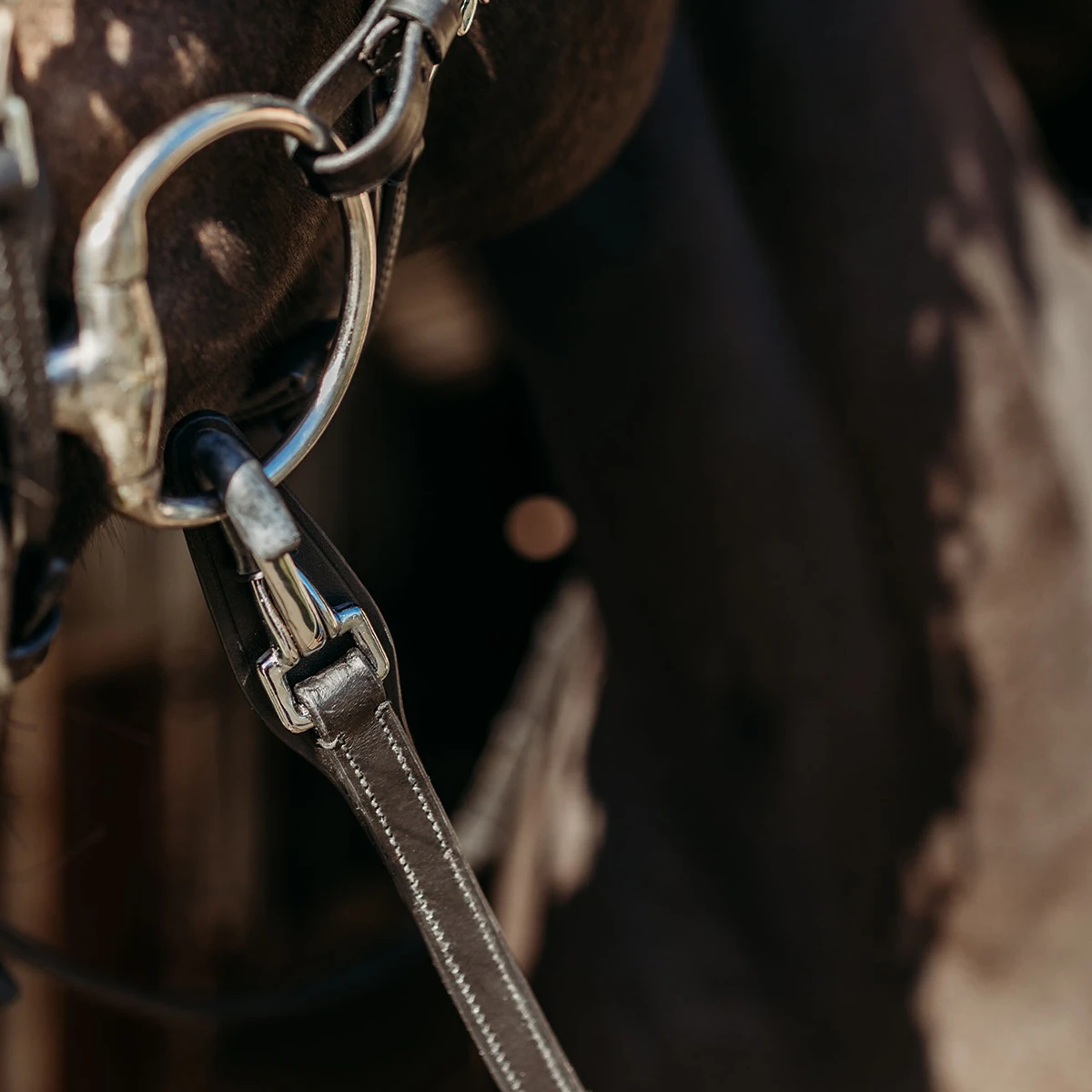 Teugels PresTeq FaySport Met Clips Zwart 5 Teugels PresTeq FaySport Met Clips Zwart - Afbeelding 3