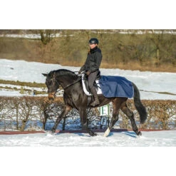 Uitrijdeken Bucas Quarter Sheet Donkerblauw-zilver 5 Uitrijdeken Bucas Quarter Sheet Donkerblauw-zilver -Paardenbenodigdheden Winkel uitrijdeken bucas quarter sheet donkerblauw zilver 1500x1500 133307