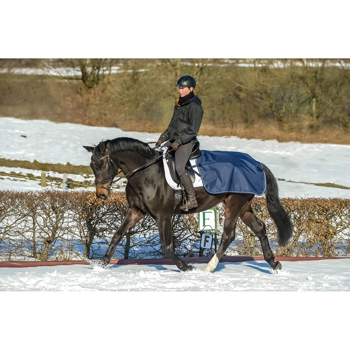 Uitrijdeken Bucas Quarter Sheet Donkerblauw-zilver 4 Uitrijdeken Bucas Quarter Sheet Donkerblauw-zilver - Afbeelding 2
