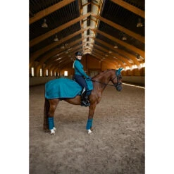 Uitrijdeken Equestrian Stockholm Aurora Blues Darkturquoise 15 Uitrijdeken Equestrian Stockholm Aurora Blues Darkturquoise -Paardenbenodigdheden Winkel uitrijdeken equestrian stockholm aurora blues darkturquoise 1500x1500 166085