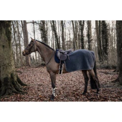 Uitrijdeken Kentucky Vierkant Heavy Donkergrijs -Paardenbenodigdheden Winkel uitrijdeken kentucky vierkant heavy donkergrijs 1500x1500 139919