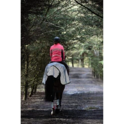 Uitrijdeken WeatherBeeta Reflective Zwart-zilver -Paardenbenodigdheden Winkel uitrijdeken weatherbeeta reflective zwart zilver 1500x1500 135298