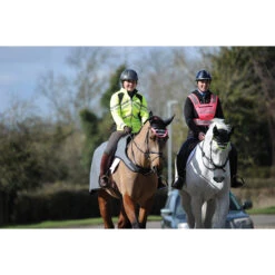 Uitrijdeken WeatherBeeta Reflective Zwart-zilver -Paardenbenodigdheden Winkel uitrijdeken weatherbeeta reflective zwart zilver 1500x1500 135299