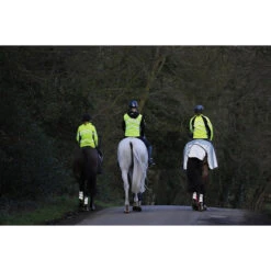 Uitrijdeken WeatherBeeta Reflective Zwart-zilver -Paardenbenodigdheden Winkel uitrijdeken weatherbeeta reflective zwart zilver 1500x1500 135300