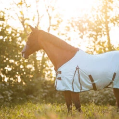 Vliegendeken Epplejeck Summertime Full Neck Grijs-blauw -Paardenbenodigdheden Winkel vliegendeken epplejeck summertime full neck grijs blauw 1500x1500 116582