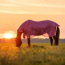 Vliegendeken Epplejeck Summertime Full Neck Roze -Paardenbenodigdheden Winkel vliegendeken epplejeck summertime full neck roze 1500x1500 186947