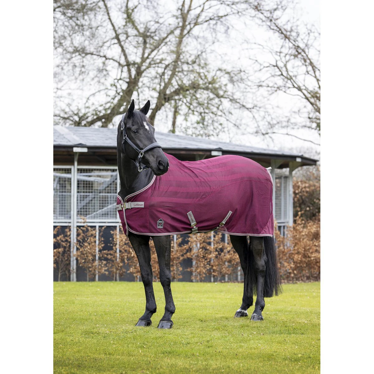 Vliegendeken LeMieux Arika Air-Tek Donkerrood 7 Vliegendeken LeMieux Arika Air-Tek Donkerrood - Afbeelding 5