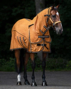 Vliegendeken QHP Collection Combo Met Hals En Masker Geel 13 Vliegendeken QHP Collection Combo Met Hals En Masker Geel -Paardenbenodigdheden Winkel vliegendeken qhp collection combo met hals en masker geel 1500x1500 175278