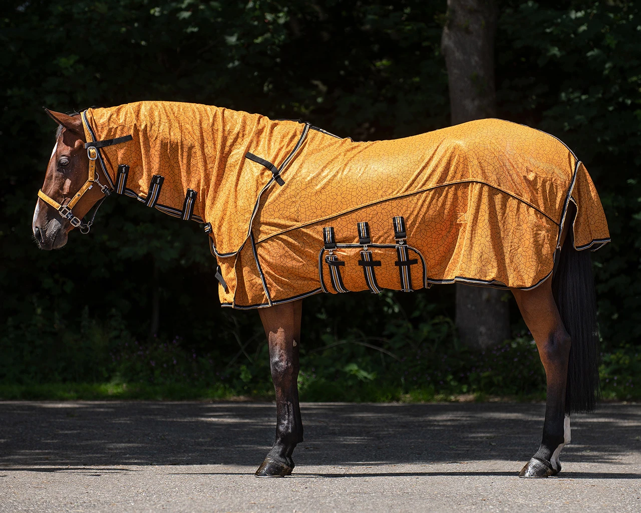 Vliegendeken QHP Collection Combo Met Hals En Masker Geel 6 Vliegendeken QHP Collection Combo Met Hals En Masker Geel - Afbeelding 4