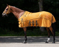 Vliegendeken QHP Collection Combo Met Hals En Masker Geel 15 Vliegendeken QHP Collection Combo Met Hals En Masker Geel -Paardenbenodigdheden Winkel vliegendeken qhp collection combo met hals en masker geel 1500x1500 175280