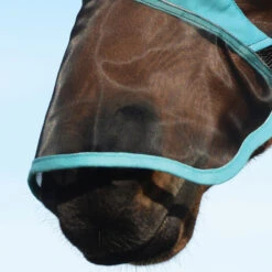 Weatherbeeta Vliegenmasker Weatherbeetra Fine Ears & Nose Zwart-turquoise -Paardenbenodigdheden Winkel vliegenmasker weatherbeetra fine ears nose zwart turquoise 1500x1500 132953