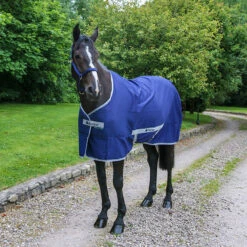 Zomerdeken Bucas Freedom Twill Sheet Blauw -Paardenbenodigdheden Winkel zomerdeken bucas freedom twill sheet blauw 1500x1500 98972