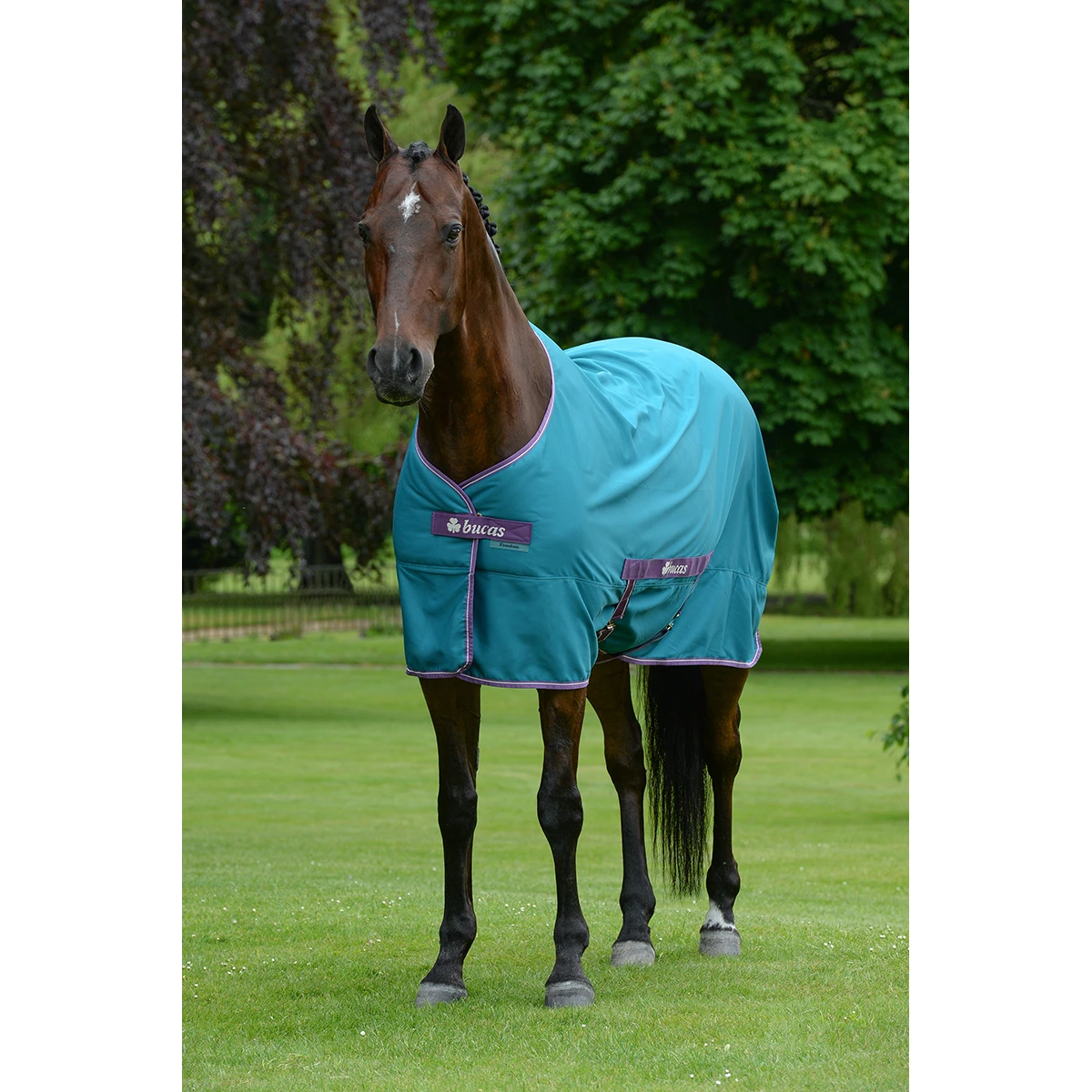 Zomerdeken Bucas Freedom Twill Sheet Groen 4 Zomerdeken Bucas Freedom Twill Sheet Groen - Afbeelding 2