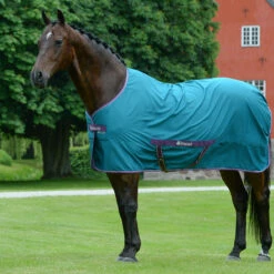 Zomerdeken Bucas Freedom Twill Sheet Groen 8 Zomerdeken Bucas Freedom Twill Sheet Groen -Paardenbenodigdheden Winkel zomerdeken bucas freedom twill sheet groen 1500x1500 174495