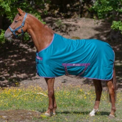 Zomerdeken Bucas Freedom Twill Sheet Groen 9 Zomerdeken Bucas Freedom Twill Sheet Groen -Paardenbenodigdheden Winkel zomerdeken bucas freedom twill sheet groen 1500x1500 174496