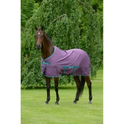 Zomerdeken Bucas Freedom Twill Sheet Paars -Paardenbenodigdheden Winkel zomerdeken bucas freedom twill sheet paars 1500x1500 174490
