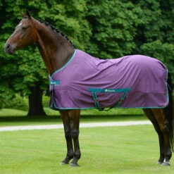 Zomerdeken Bucas Freedom Twill Sheet Paars -Paardenbenodigdheden Winkel zomerdeken bucas freedom twill sheet paars 1500x1500 174491