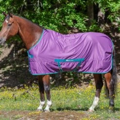 Zomerdeken Bucas Freedom Twill Sheet Paars -Paardenbenodigdheden Winkel zomerdeken bucas freedom twill sheet paars 1500x1500 174492