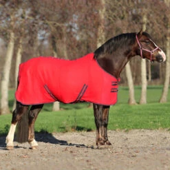 Zweetdeken Epplejeck Zafra Junior Rood -Paardenbenodigdheden Winkel zweetdeken epplejeck zafra junior rood 1500x1500 98299