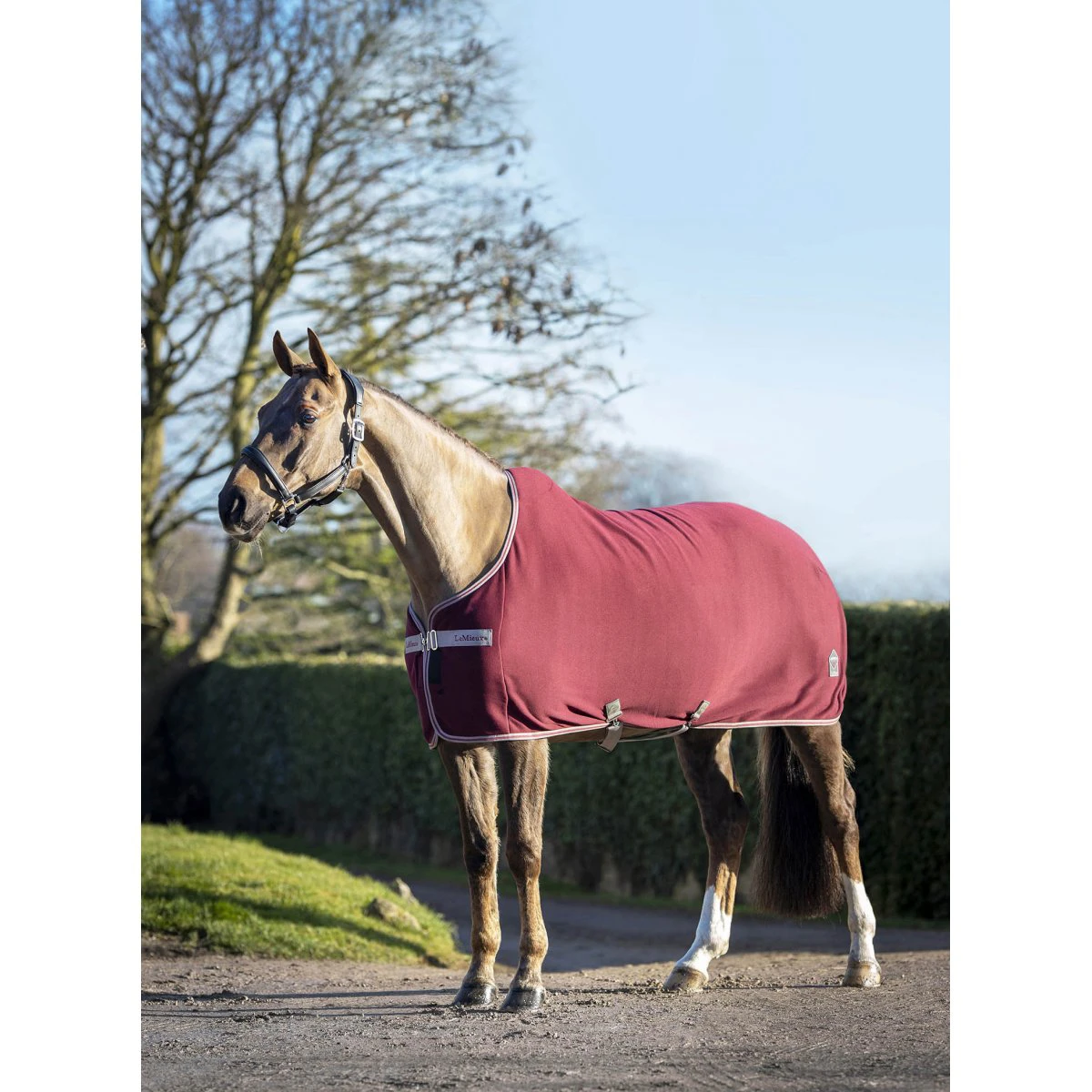 Zweetdeken LeMieux Arika Jersey-Tek Donkerrood 9 Zweetdeken LeMieux Arika Jersey-Tek Donkerrood - Afbeelding 7