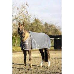 Zweetdeken LeMieux Arika Jersey-Tek Grijs 19 Zweetdeken LeMieux Arika Jersey-Tek Grijs -Paardenbenodigdheden Winkel zweetdeken lemieux arika jersey tek grijs 1500x1500 183733