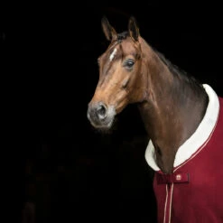 Zweetdeken SKØL Per Rood -Paardenbenodigdheden Winkel zweetdeken skol per rood 1500x1500 130261