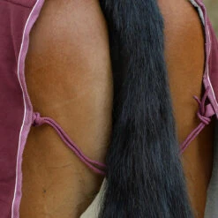 Zweetdeken WeatherBeeta Sherpa Fleece Donkerrood 12 Zweetdeken WeatherBeeta Sherpa Fleece Donkerrood -Paardenbenodigdheden Winkel zweetdeken weatherbeeta sherpa fleece donkerrood 1500x1500 135310