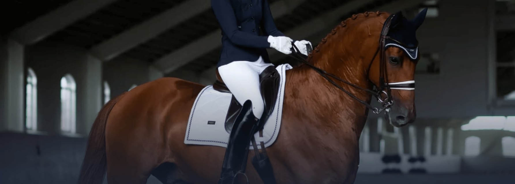 Paardenbenodigdheden Winkel -Paardenbenodigdheden Winkel ewrer